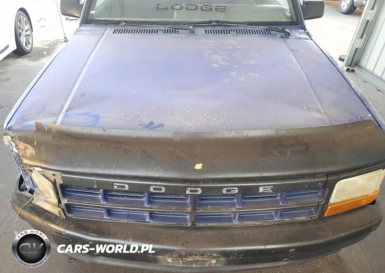 1996 Dodge Dakota VIN:1B7GG26X4TS669732 - 11