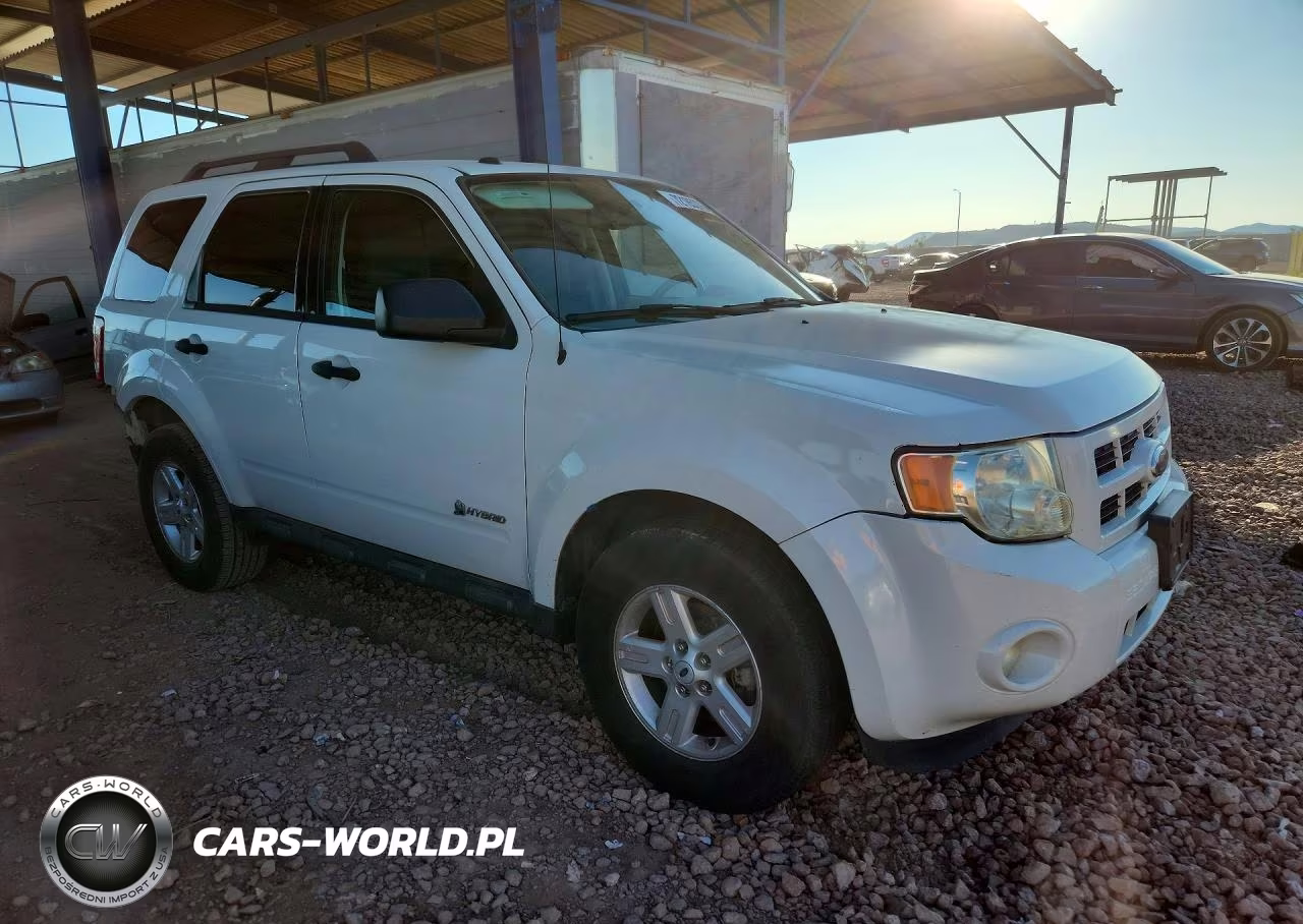 2009 Ford Escape Hybrid VIN:1FMCU493X9KC39638 - 4
