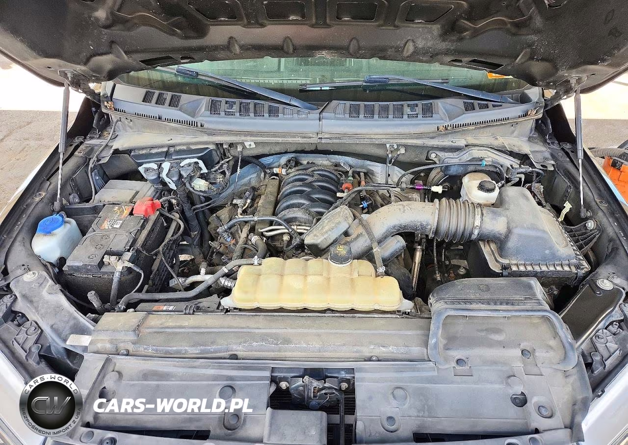 2019 Ford F150 Supercrew VIN:1FTEW1E57KKF30794 - 11