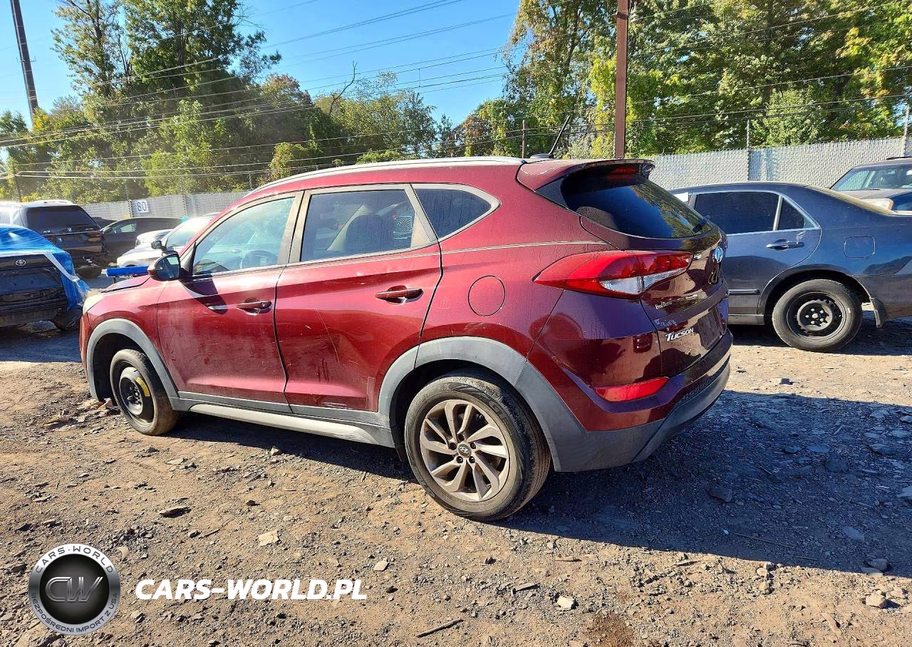 2017 Hyundai Tucson Se VIN:KM8J3CA41HU317641 - 2