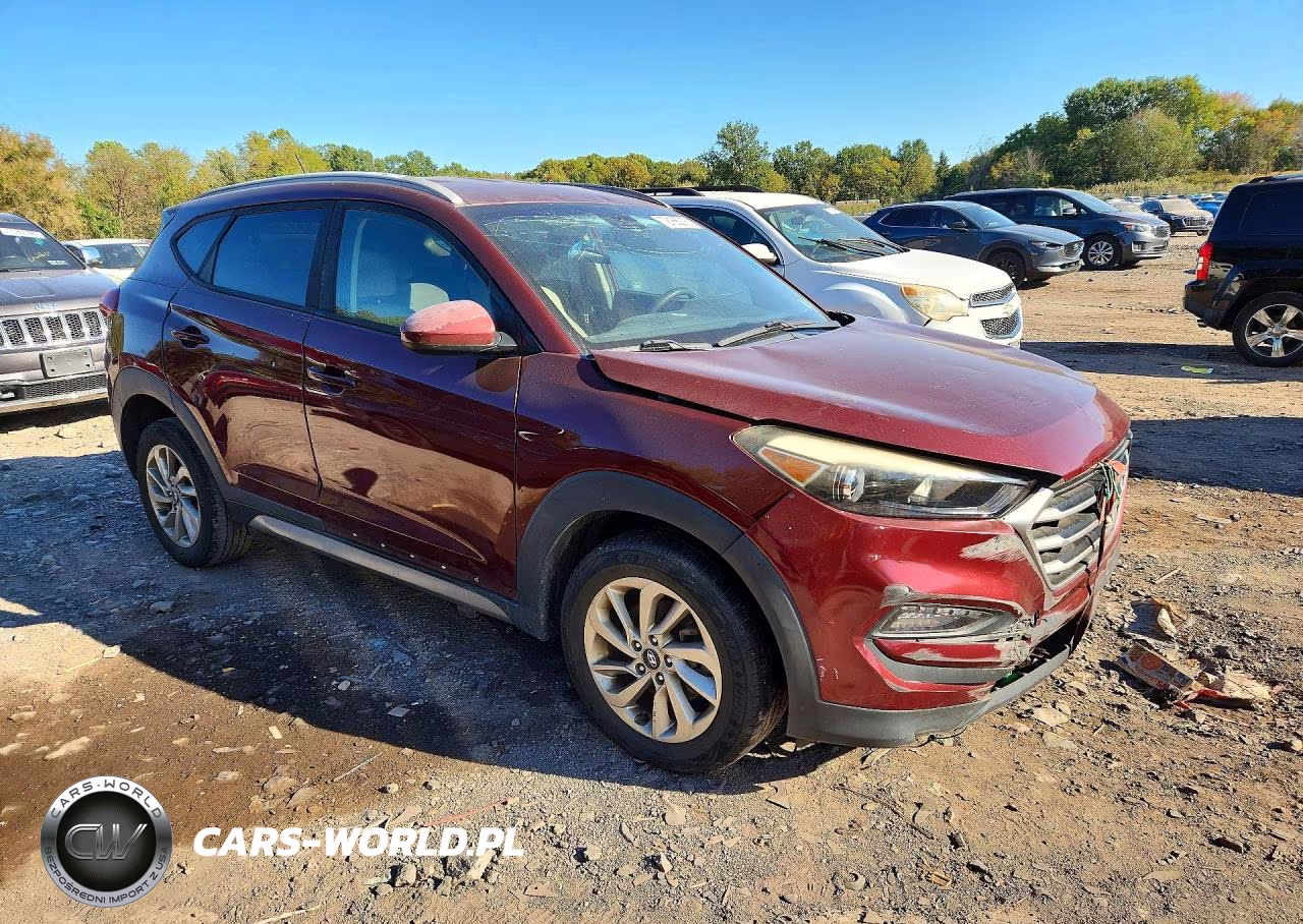 2017 Hyundai Tucson Se VIN:KM8J3CA41HU317641 - 4