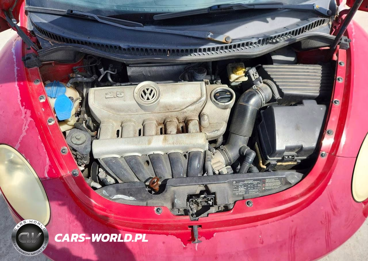 2010 Volkswagen New Beetle VIN:3VWPW3AG1AM010297 - 11