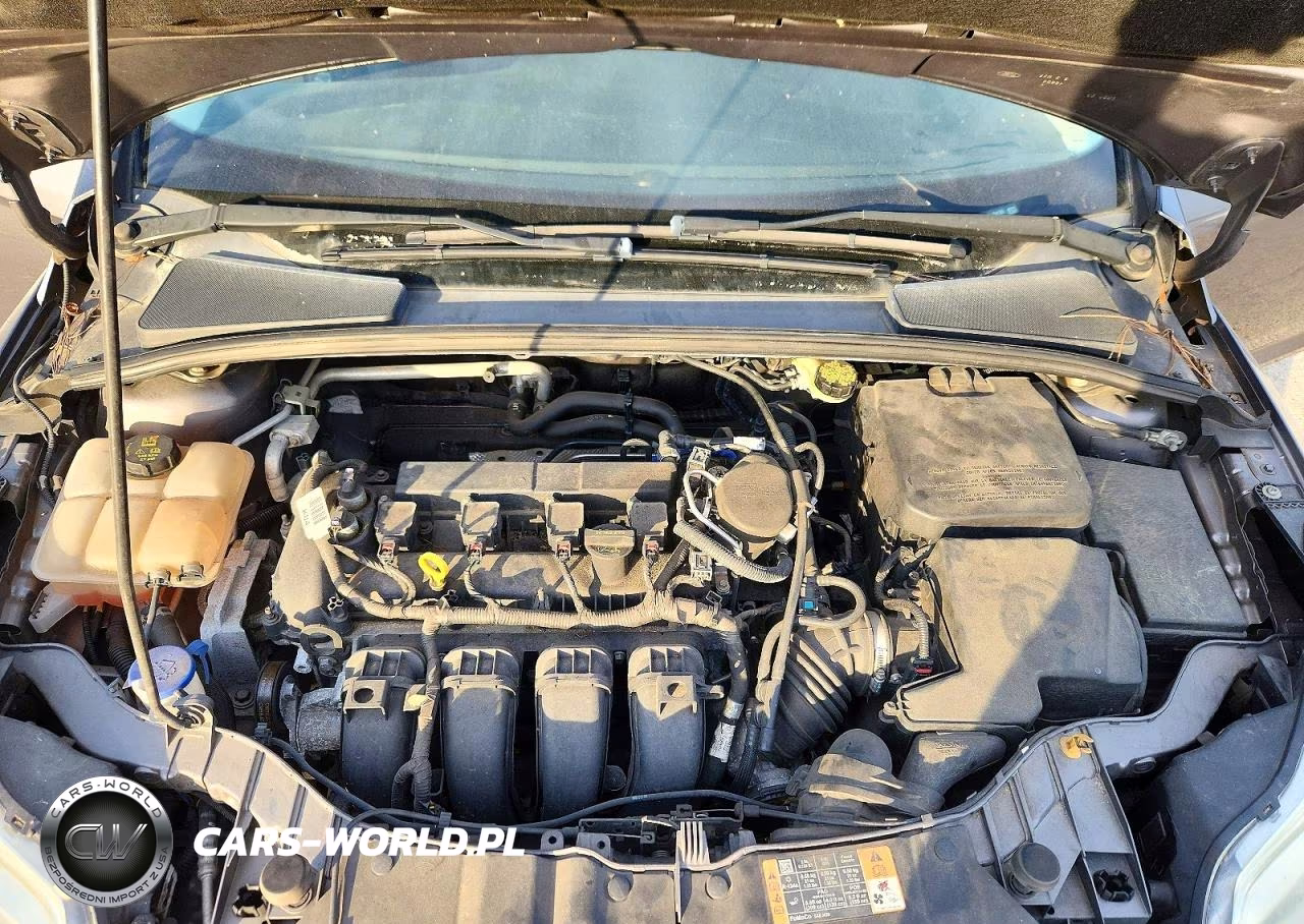2014 Ford Focus Se VIN:1FADP3K25EL284105 - 12