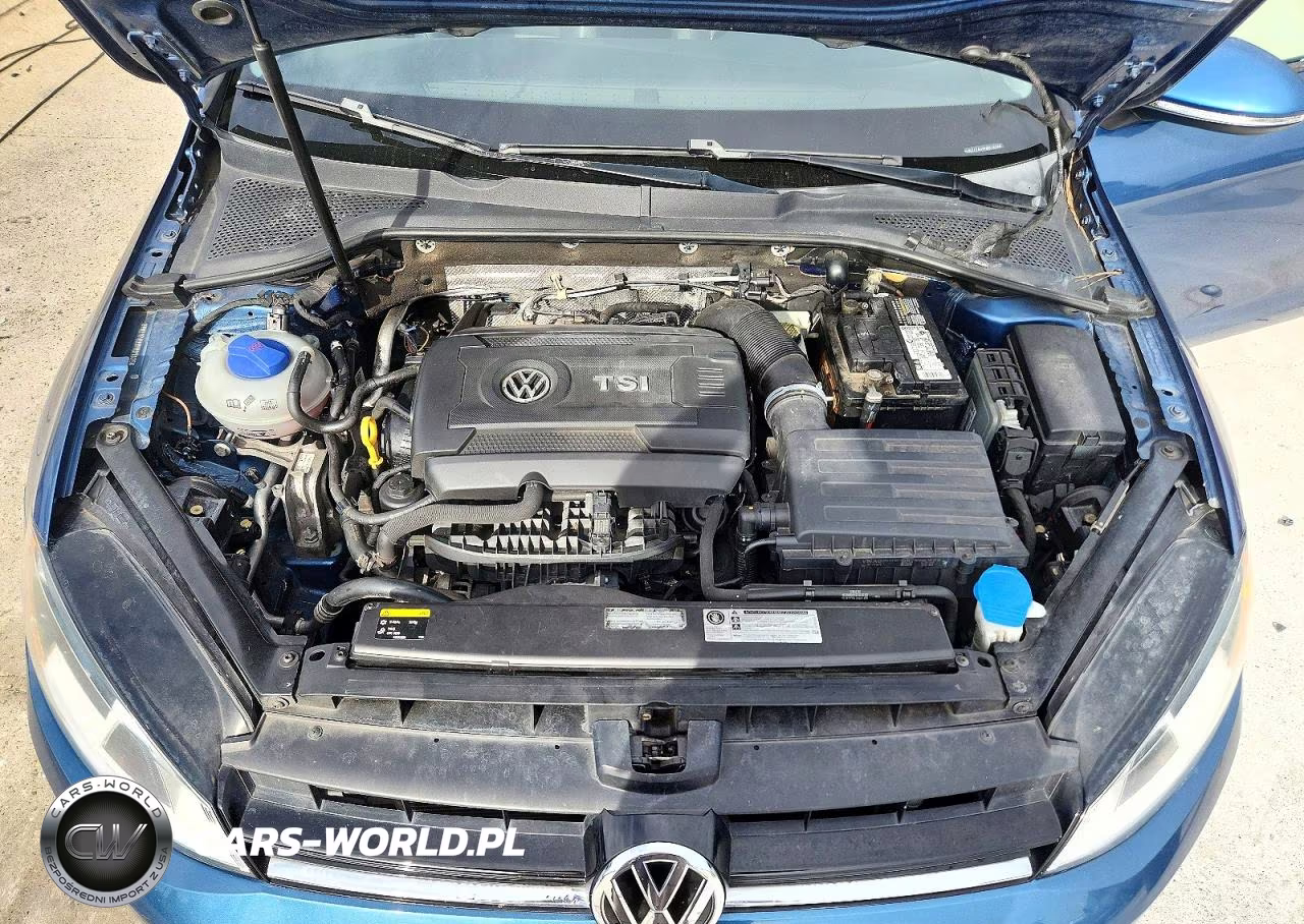 2015 Volkswagen Golf VIN:3VW217AU9FM018256 - 11