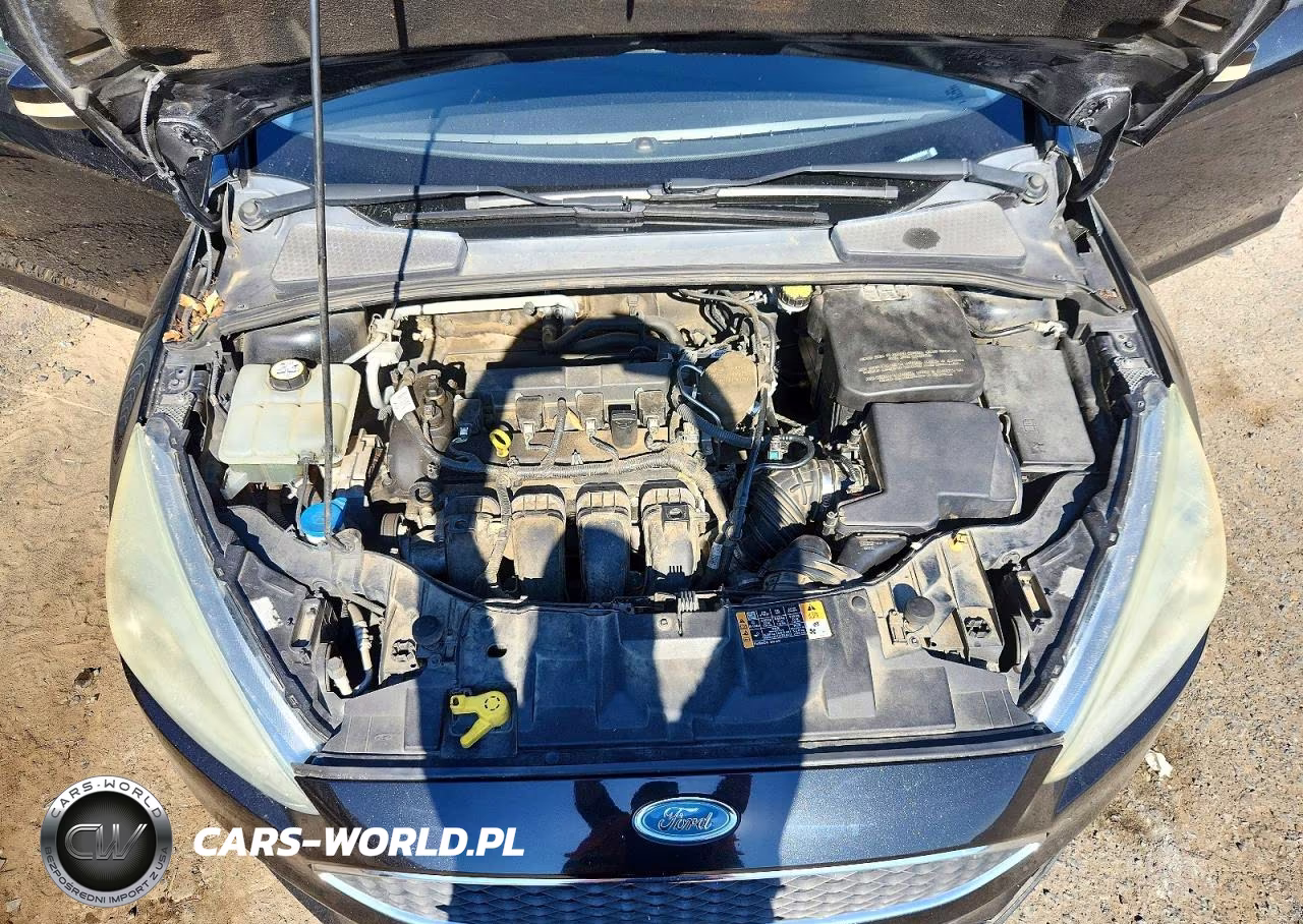 2015 Ford Focus Se VIN:1FADP3F28FL262191 - 11