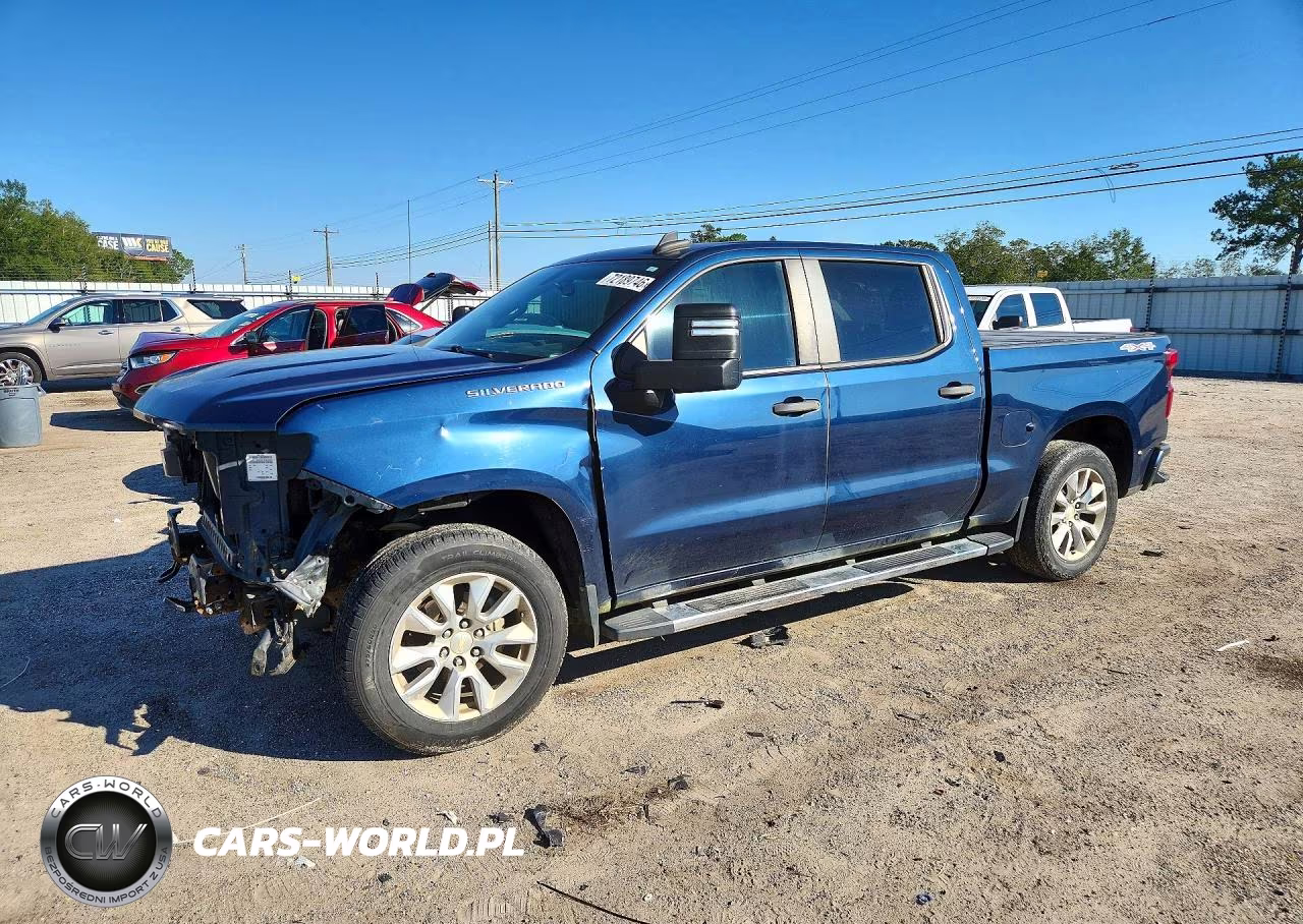 2019 Chevrolet Silverado K1500 Custom VIN:3GCUYBEF3KG700290 - 1