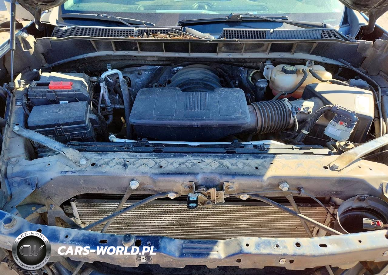 2019 Chevrolet Silverado K1500 Custom VIN:3GCUYBEF3KG700290 - 11