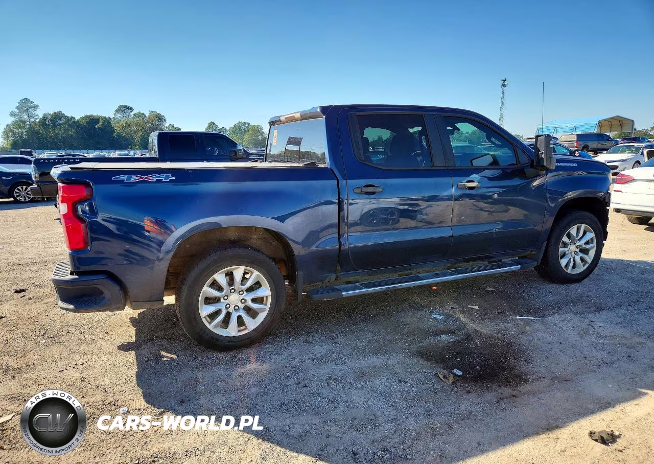 2019 Chevrolet Silverado K1500 Custom VIN:3GCUYBEF3KG700290 - 3