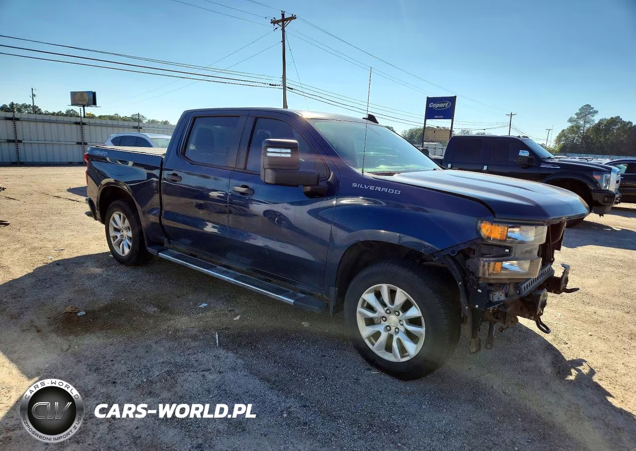 2019 Chevrolet Silverado K1500 Custom VIN:3GCUYBEF3KG700290 - 4