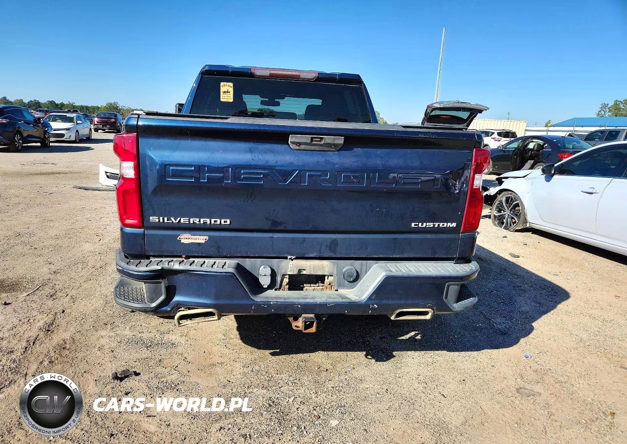 2019 Chevrolet Silverado K1500 Custom VIN:3GCUYBEF3KG700290 - 6