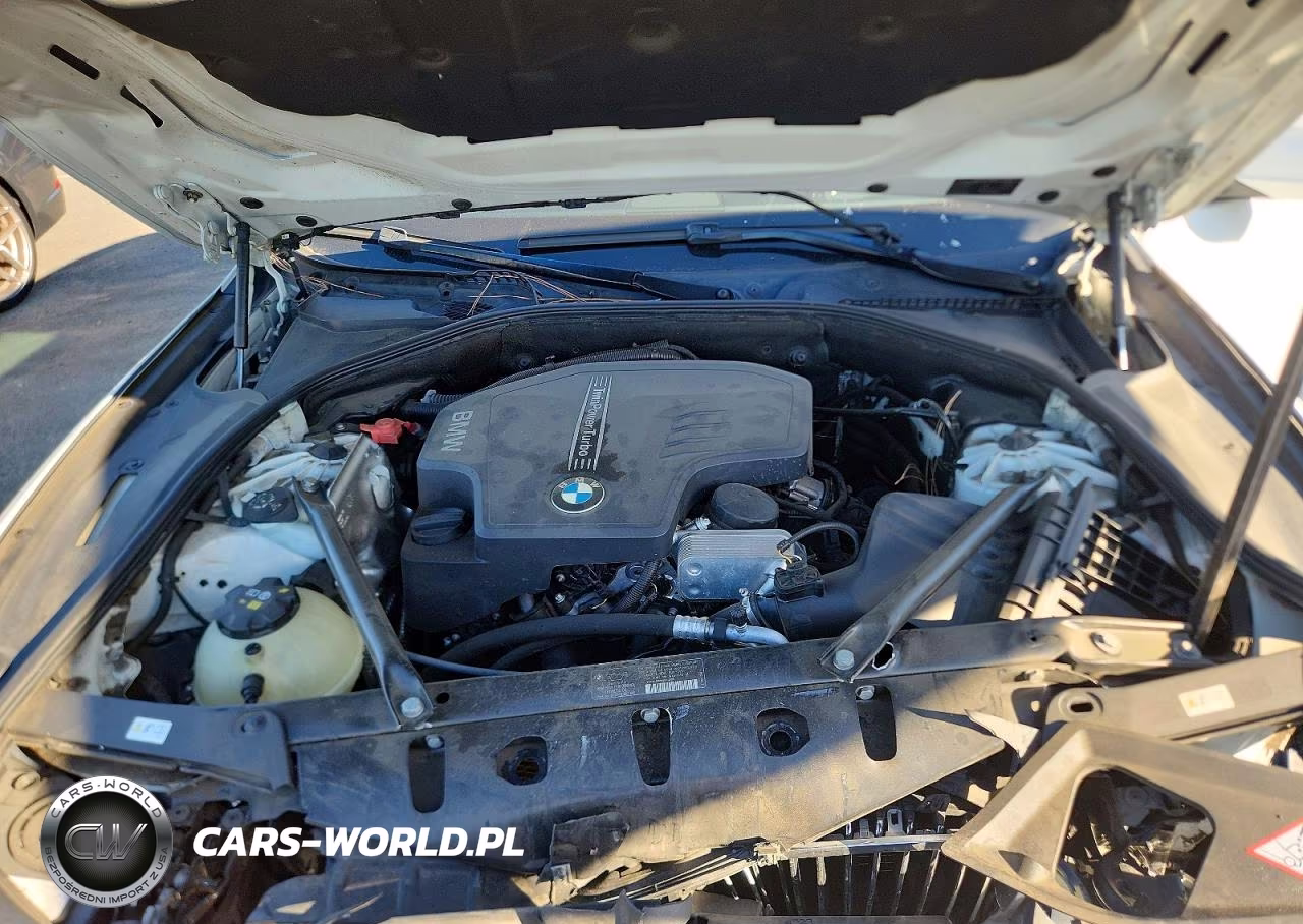 2013 BMW 528 I VIN:WBAXG5C55DDY32038 - 11