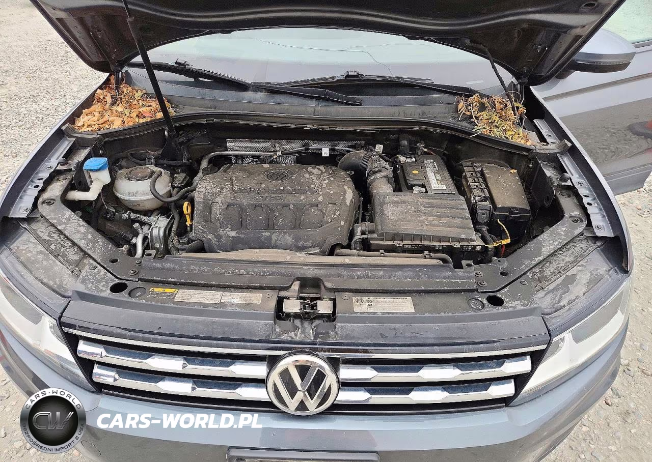 2020 Volkswagen Tiguan S VIN:3VV0B7AX9LM044838 - 12