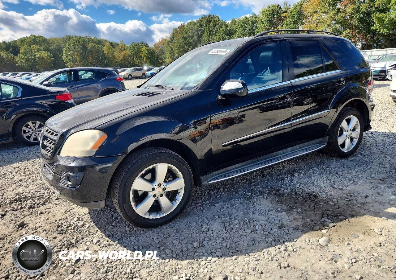2010 Mercedes-Benz Ml 350 4Matic