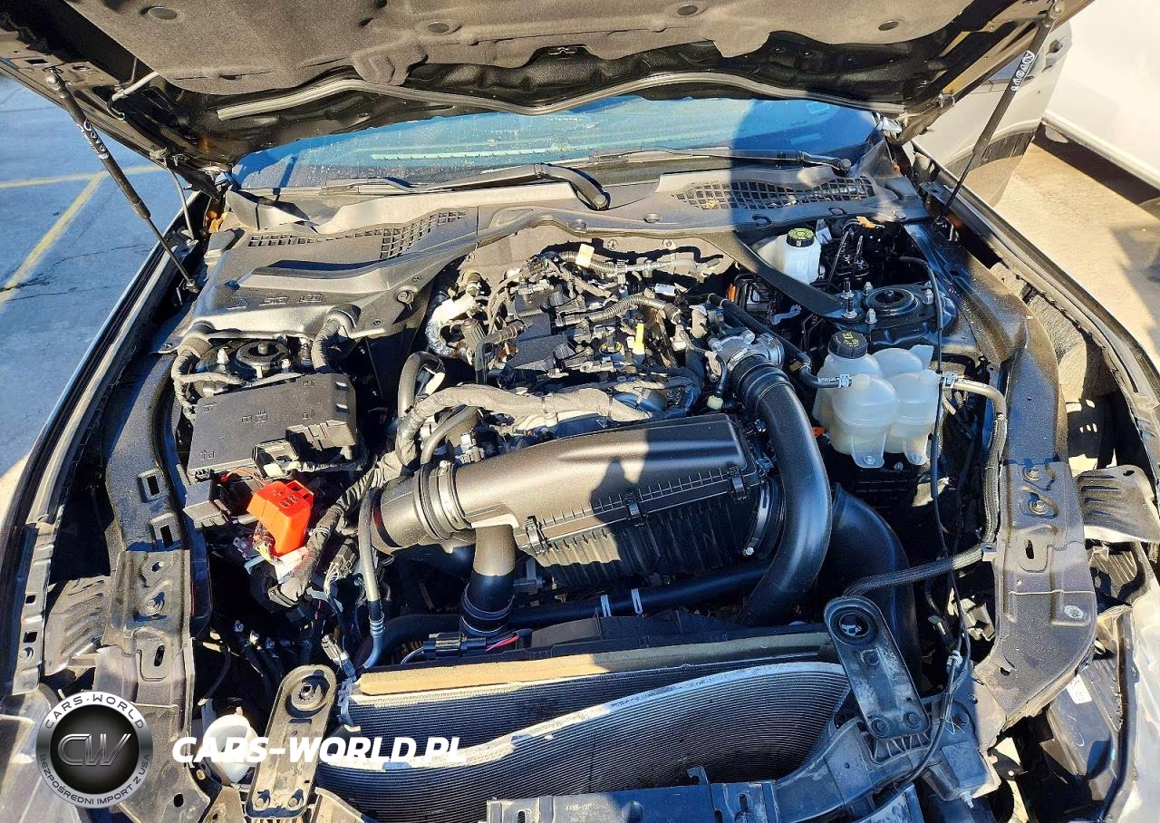2024 Ford Mustang VIN:1FAGP8UHXR5126350 - 11