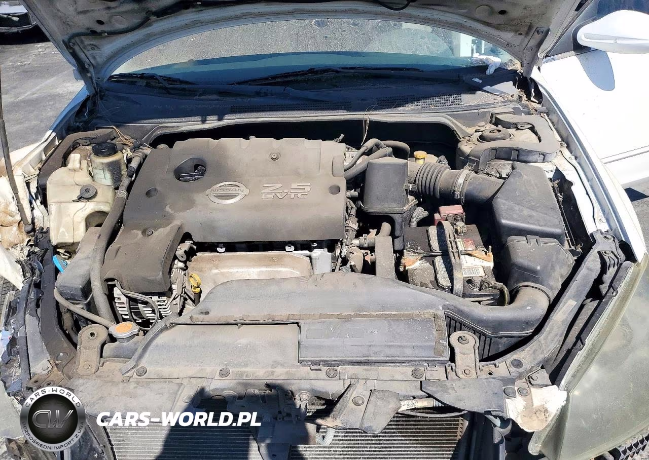 2006 Nissan Altima 2.5 VIN:1N4AL11D46N407128 - 11