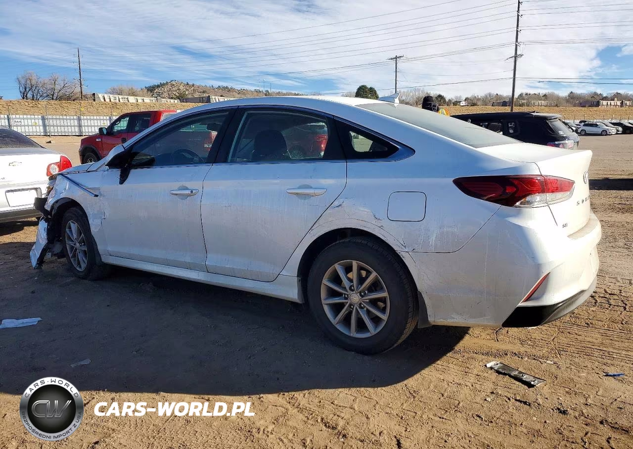 2019 Hyundai Sonata Se VIN:5NPE24AF6KH741611 - 2