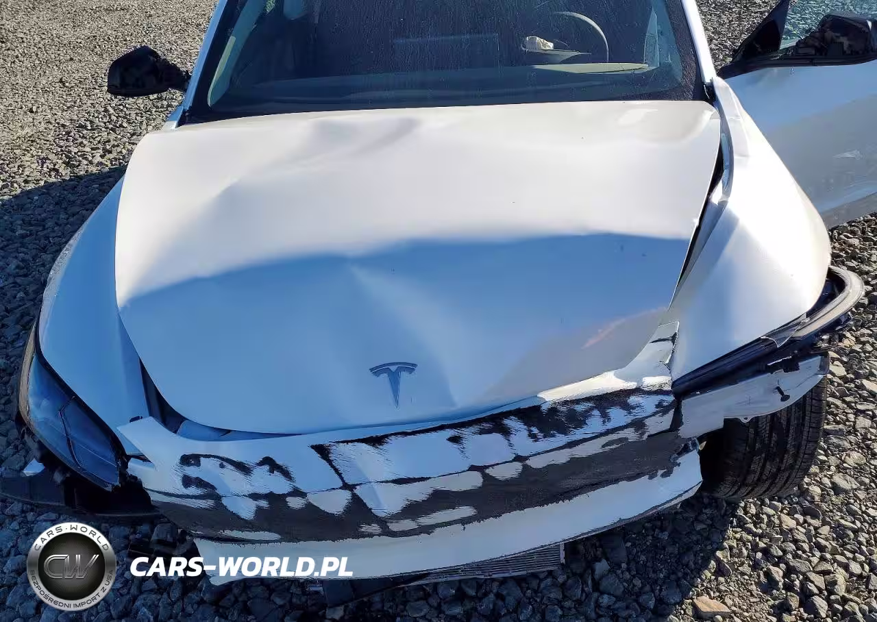 2025 Tesla Model 3 VIN:5YJ3E1EA6SF045678 - 11