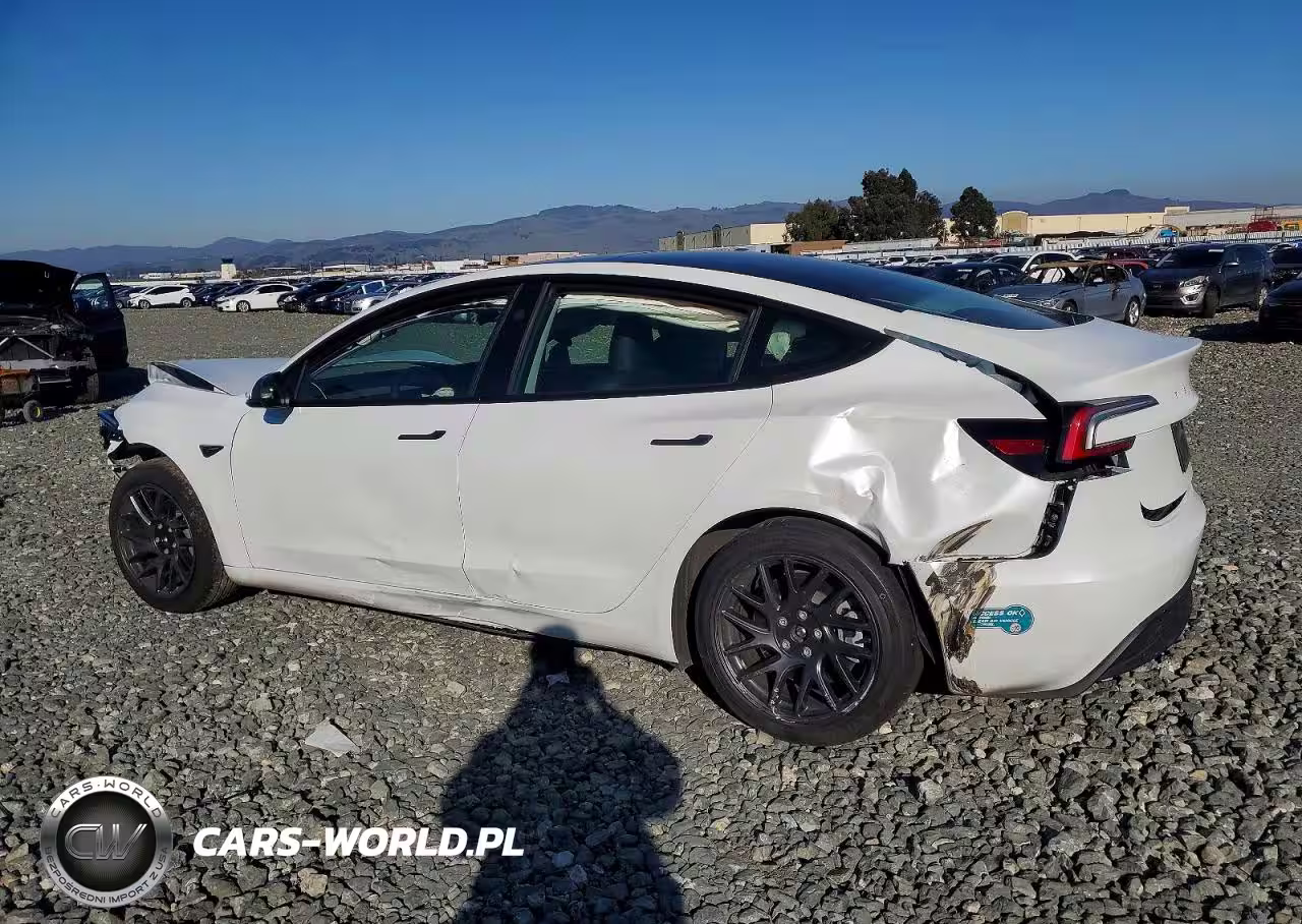2025 Tesla Model 3 VIN:5YJ3E1EA6SF045678 - 2