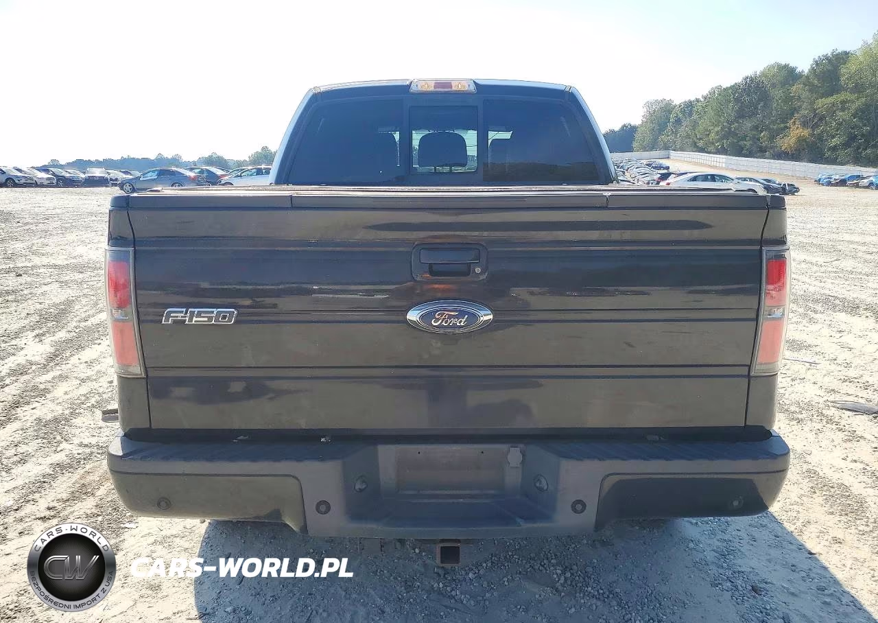 2012 Ford F150 Supercrew VIN:1FTFW1ET6CFC87315 - 6