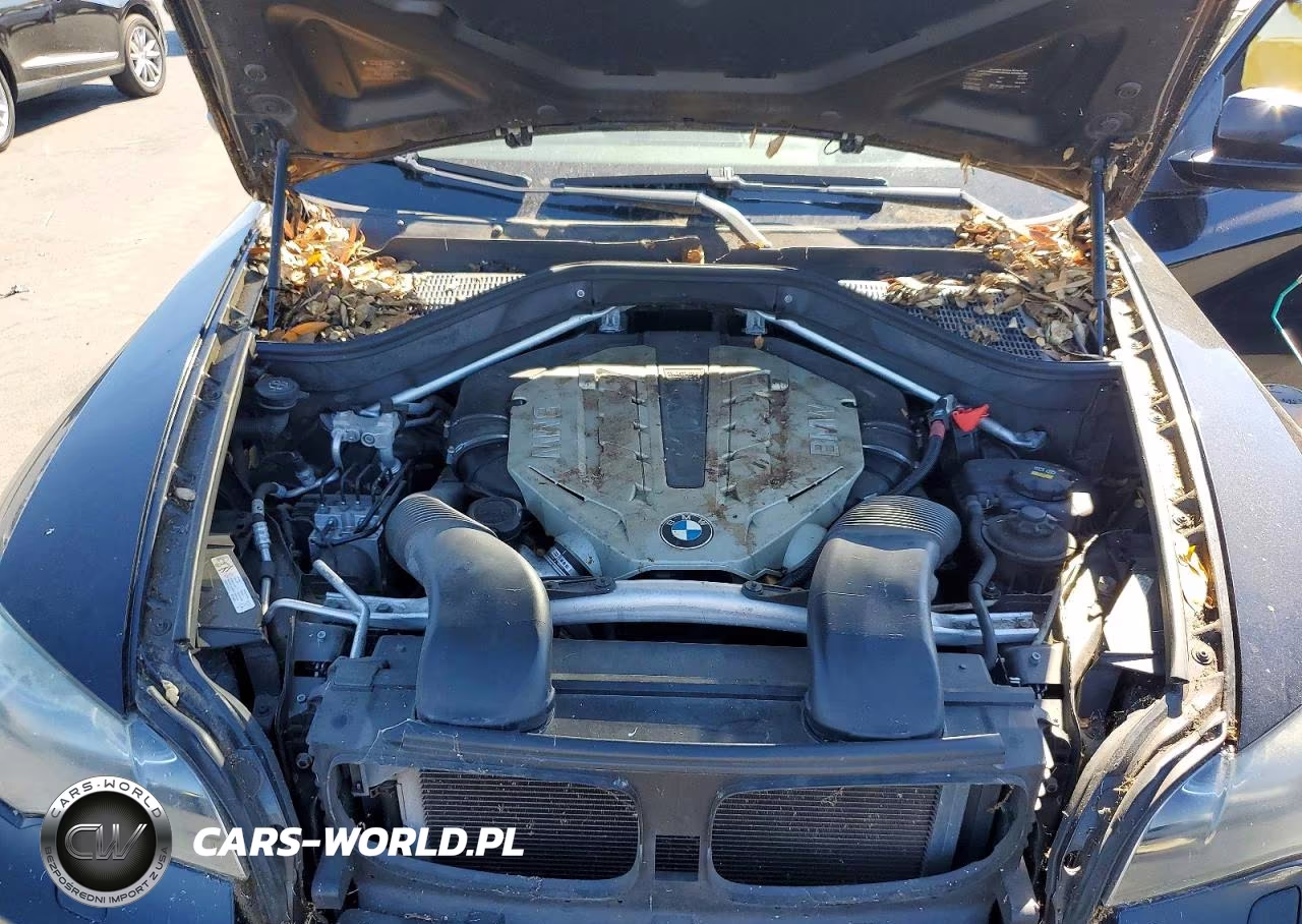 2010 BMW X6 xDrive50I VIN:5UXFG8C55ALZ94493 - 12