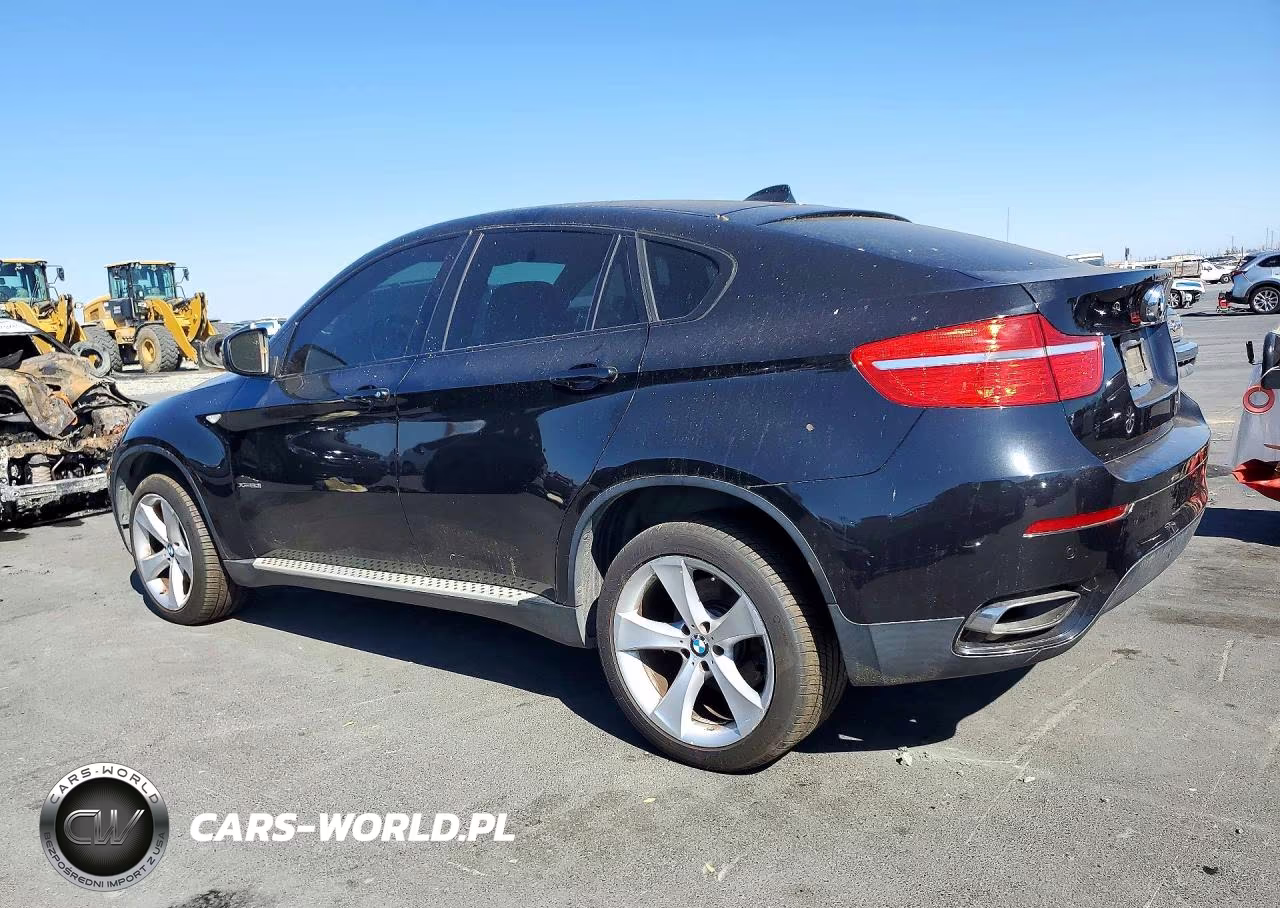2010 BMW X6 xDrive50I VIN:5UXFG8C55ALZ94493 - 2