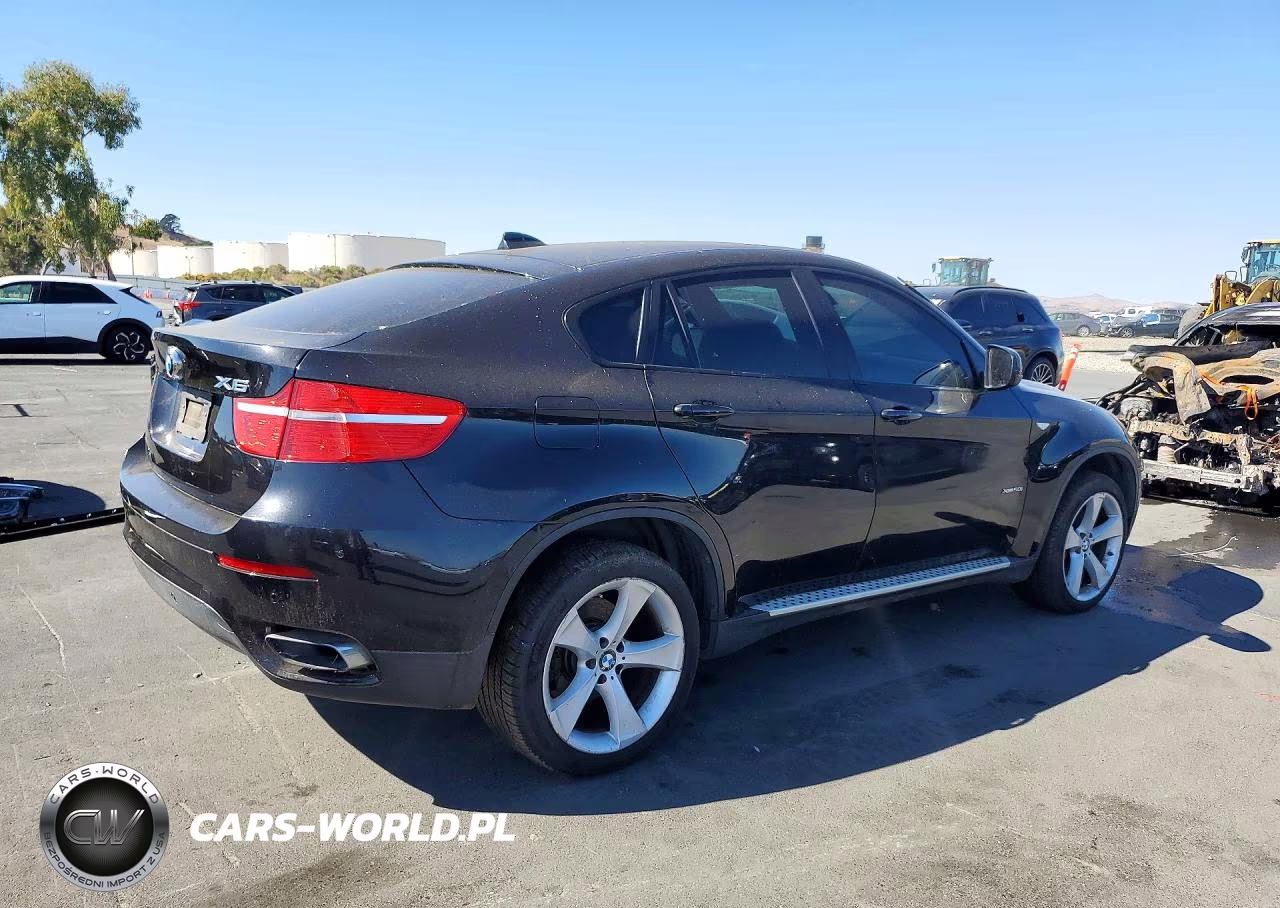 2010 BMW X6 xDrive50I VIN:5UXFG8C55ALZ94493 - 3