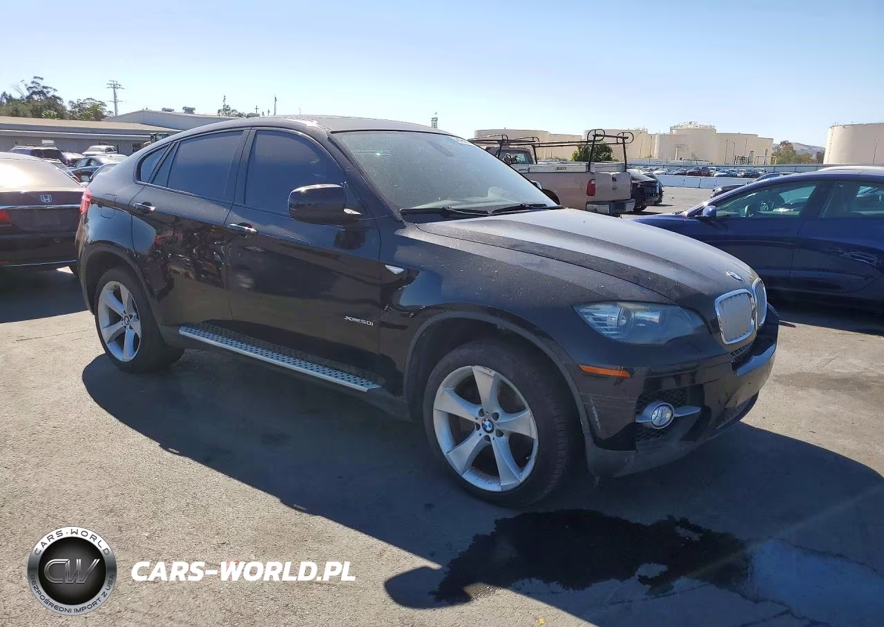 2010 BMW X6 xDrive50I VIN:5UXFG8C55ALZ94493 - 4