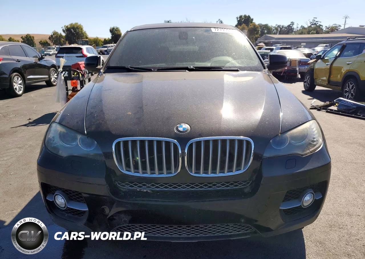 2010 BMW X6 xDrive50I VIN:5UXFG8C55ALZ94493 - 5