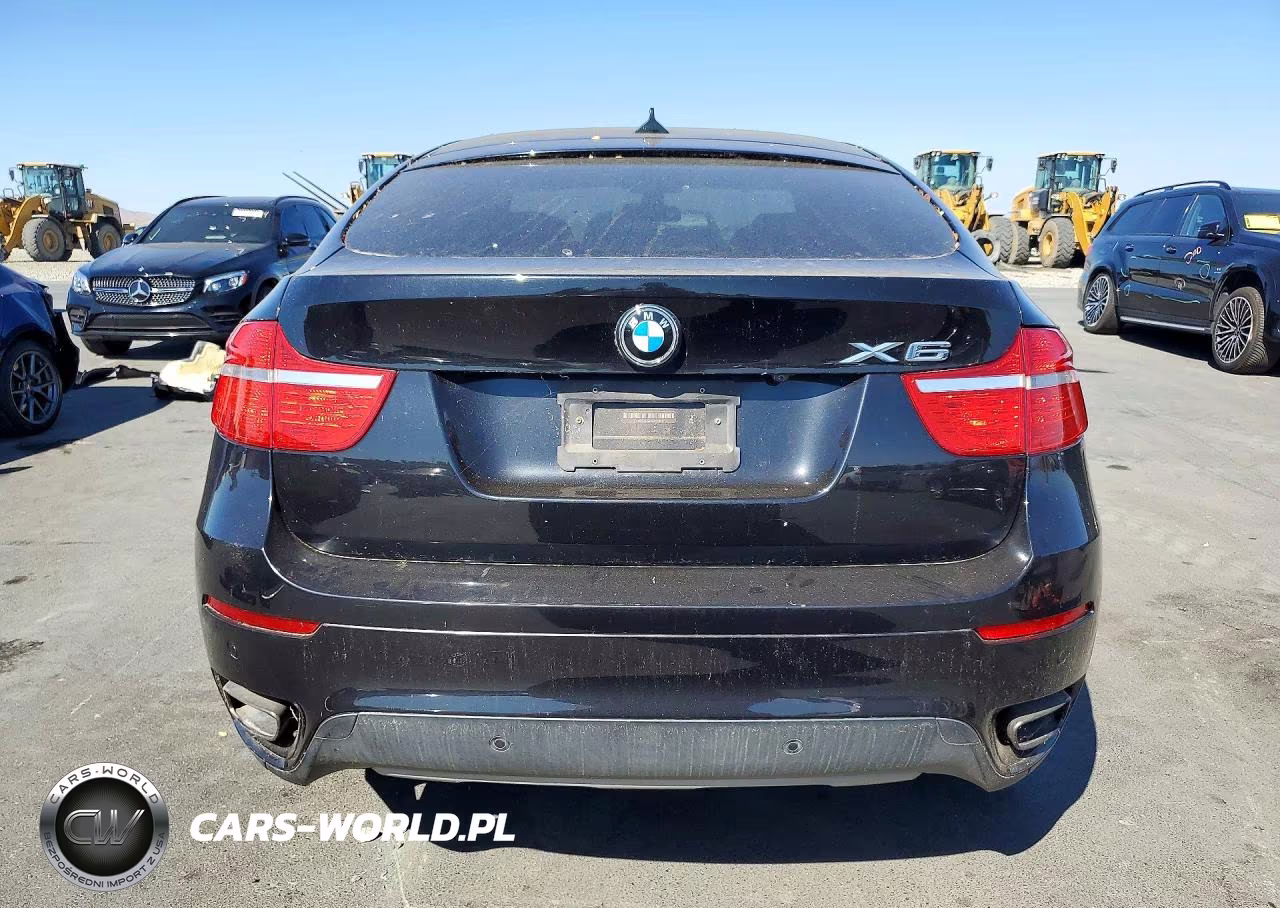 2010 BMW X6 xDrive50I VIN:5UXFG8C55ALZ94493 - 6