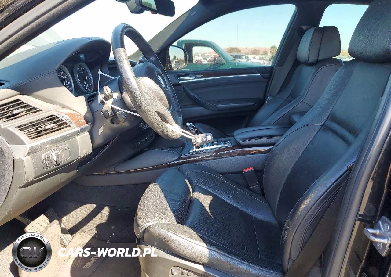 2010 BMW X6 xDrive50I VIN:5UXFG8C55ALZ94493 - 7