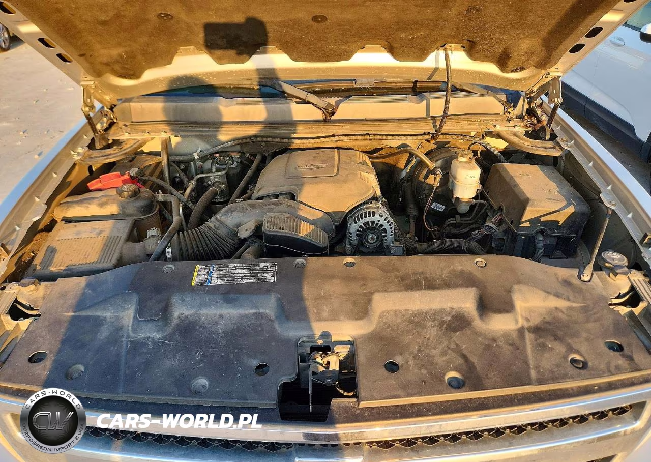 2010 Chevrolet Silverado C1500 Lt VIN:3GCRCSE00AG289185 - 11