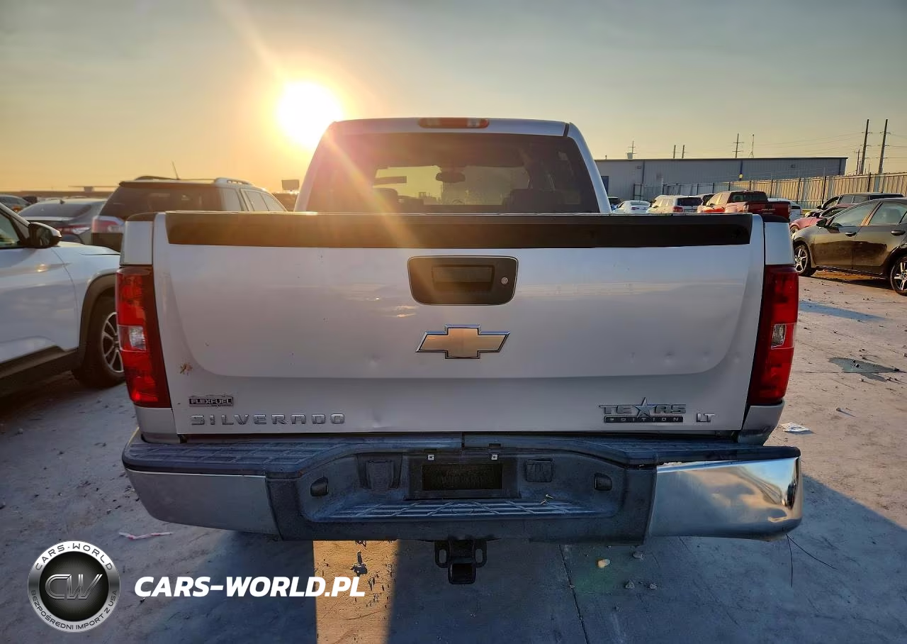 2010 Chevrolet Silverado C1500 Lt VIN:3GCRCSE00AG289185 - 6