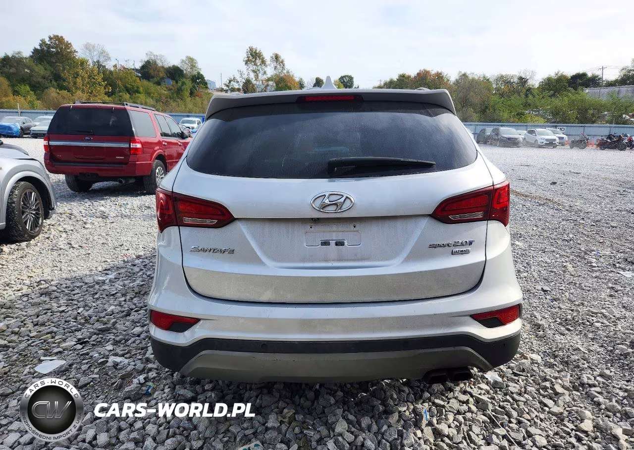 2017 Hyundai Santa Fe Sport 2.0T Ultimate VIN:5XYZW4LA1HG476989 - 6