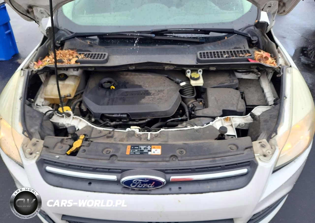 2015 Ford Escape Se VIN:1FMCU9GX5FUA44615 - 11