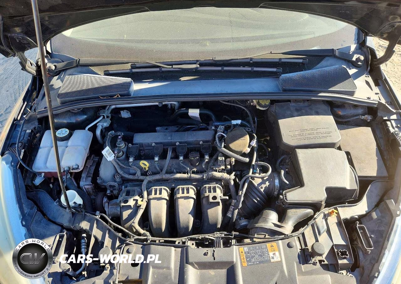 2015 Ford Focus Se VIN:1FADP3K24FL289930 - 12