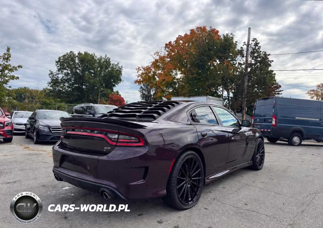 2020 Dodge Charger Gt VIN:2C3CDXHG4LH208415 - 4