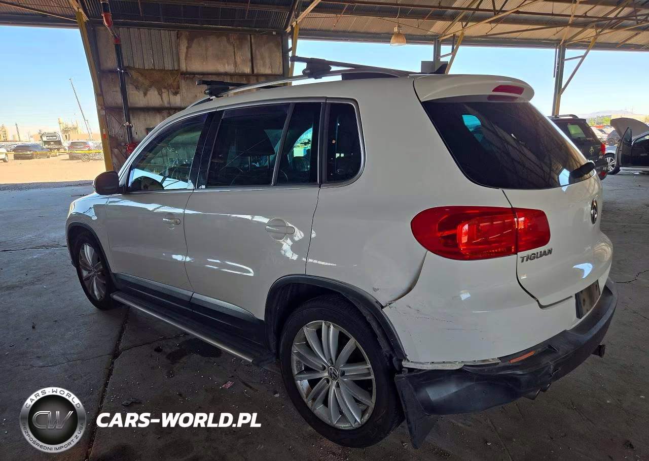 2013 Volkswagen Tiguan S VIN:WVGAV3AX6DW593994 - 2