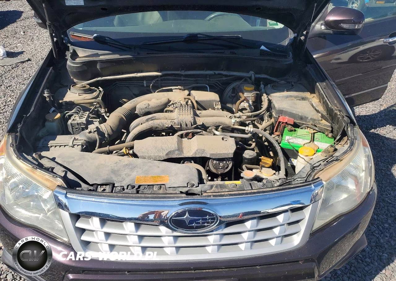 2013 Subaru Forester Touring VIN:JF2SHAGC7DH406650 - 12