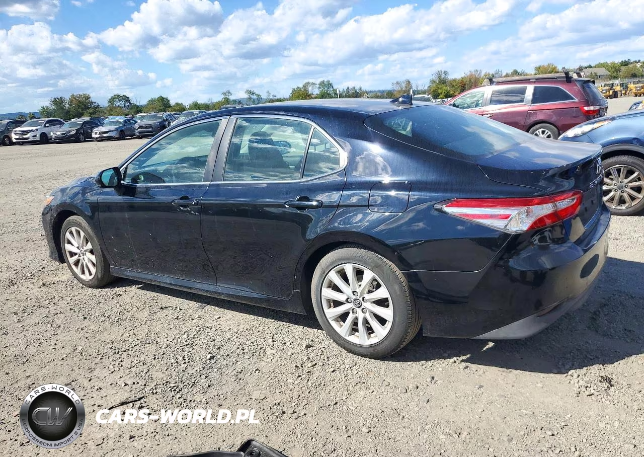 2020 Toyota Camry Le VIN:4T1C11AK8LU877506 - 2