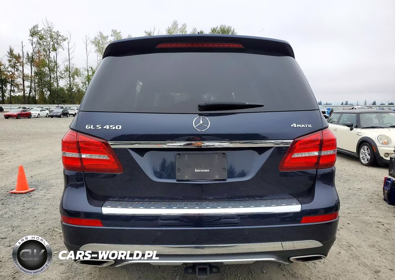 2019 Mercedes-Benz Gls 450 4Matic VIN:4JGDF6EE5KB236072 - 6