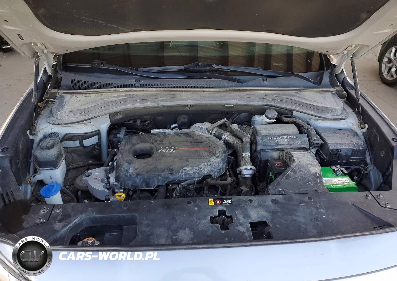2020 Hyundai Santa Fe Sel 2.0T VIN:5NMS3CAA2LH205977 - 12