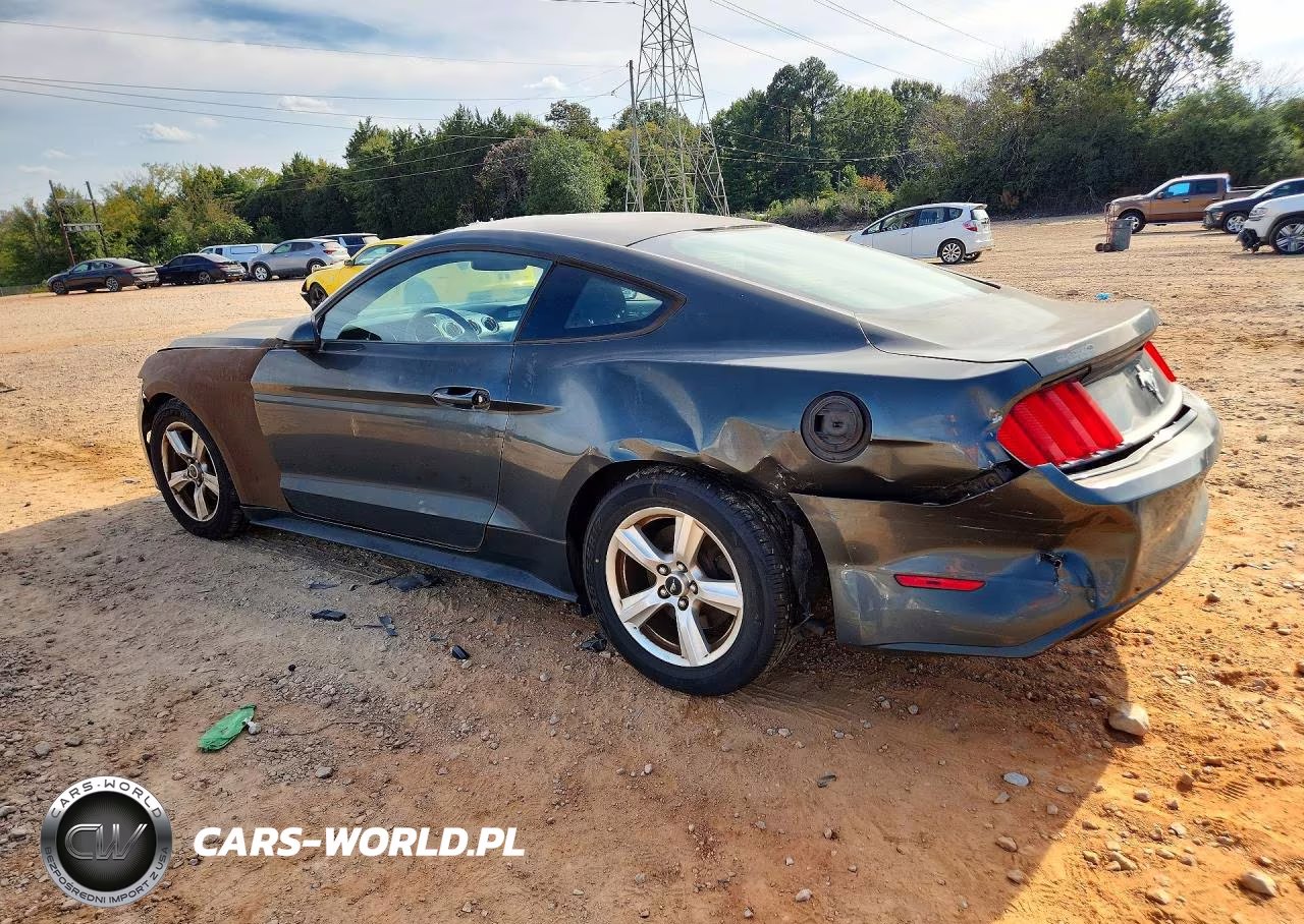 2015 Ford Mustang VIN:1FA6P8AM3F5379910 - 2