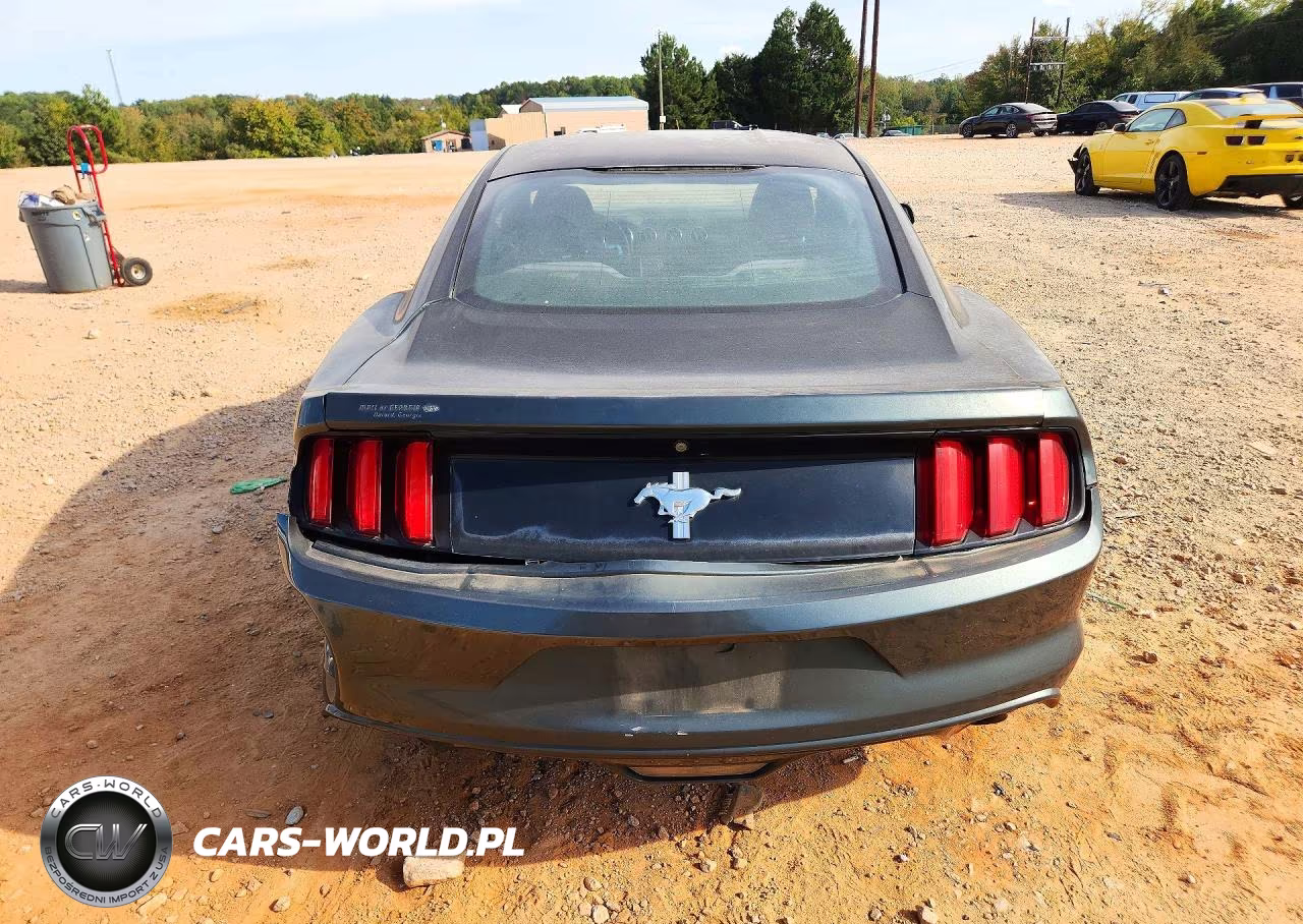2015 Ford Mustang VIN:1FA6P8AM3F5379910 - 6