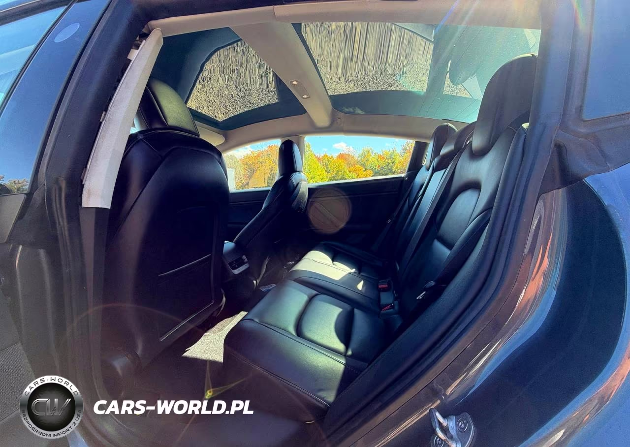 2021 Tesla Model 3 VIN:5YJ3E1EB3MF902504 - 12