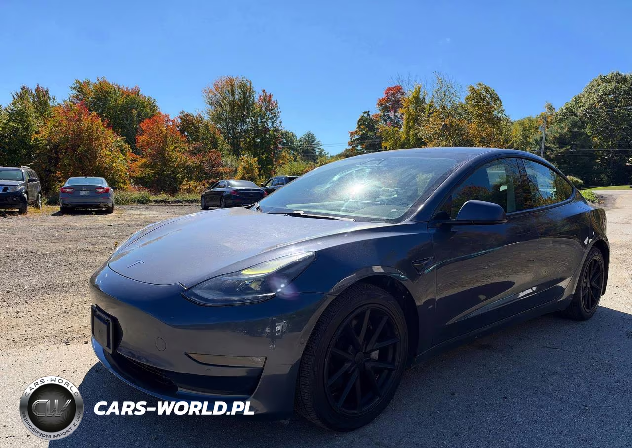 2021 Tesla Model 3 VIN:5YJ3E1EB3MF902504 - 2