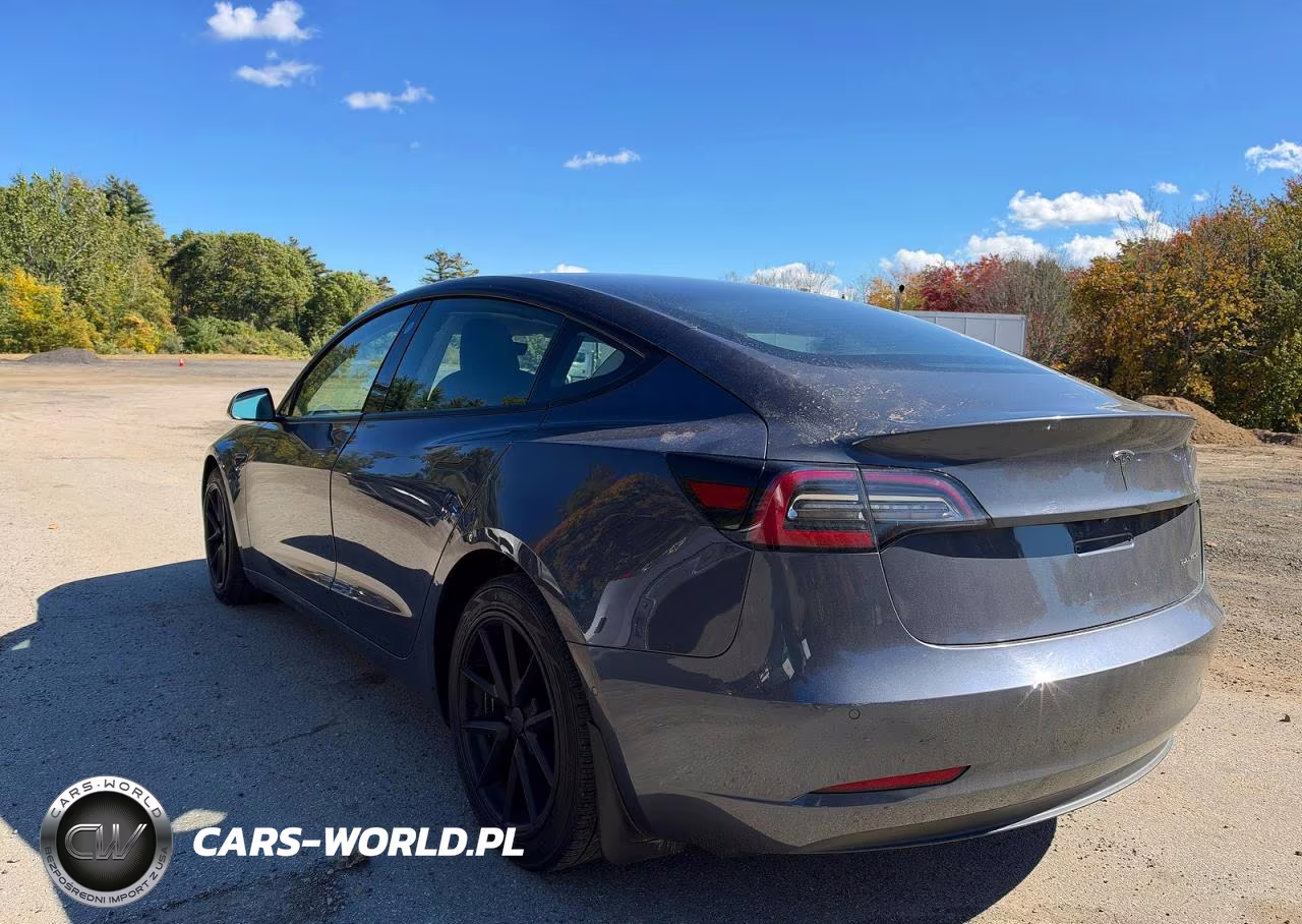2021 Tesla Model 3 VIN:5YJ3E1EB3MF902504 - 3