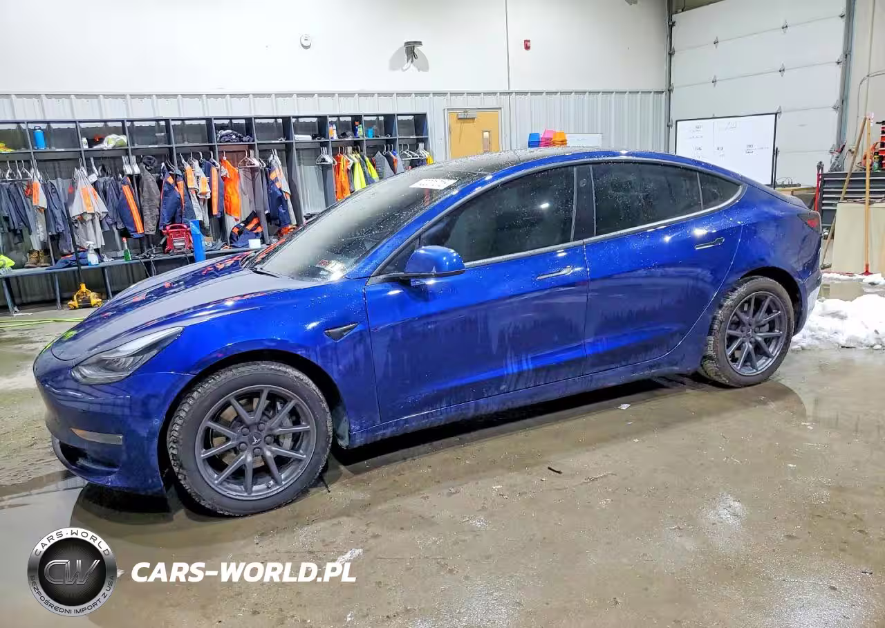 2019 Tesla Model 3