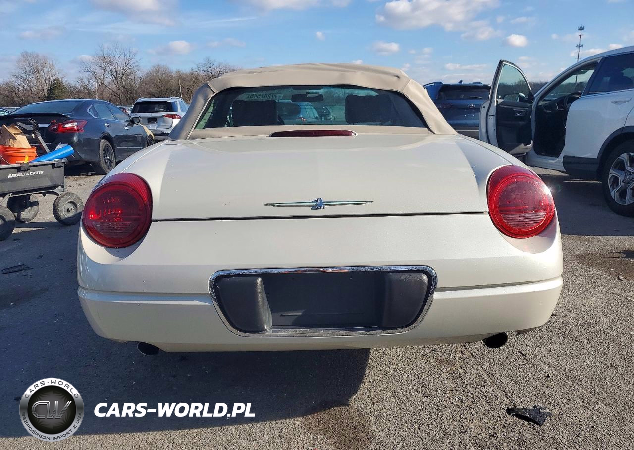 2005 Ford Thunderbird 50Th Anniversary VIN:1FAHP69A95Y108371 - 6