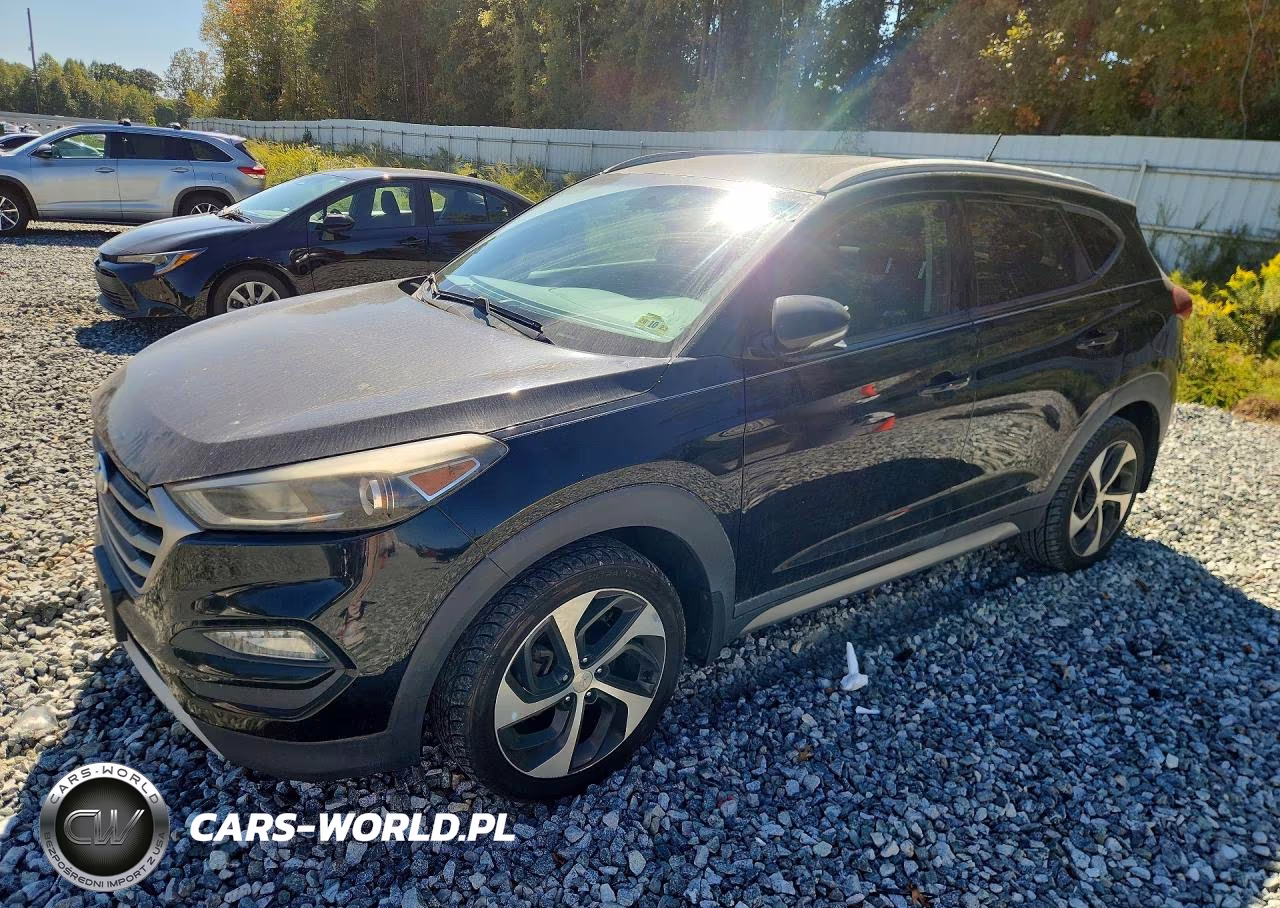 2017 Hyundai Tucson Sport VIN:KM8J3CA21HU301874 - 1