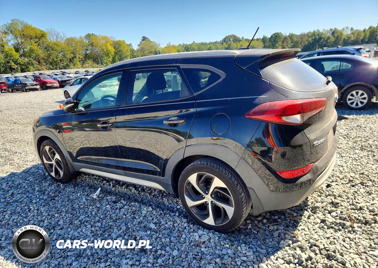 2017 Hyundai Tucson Sport VIN:KM8J3CA21HU301874 - 2